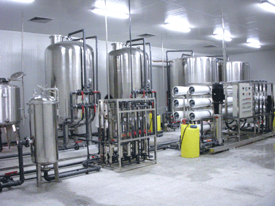 北京純化水設(shè)備廠家